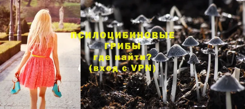 купить   MEGA ссылки  Галлюциногенные грибы MAGIC MUSHROOMS  Жуковка 